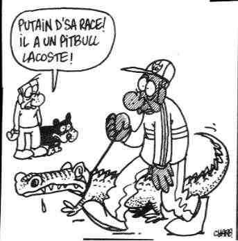 Pitbull